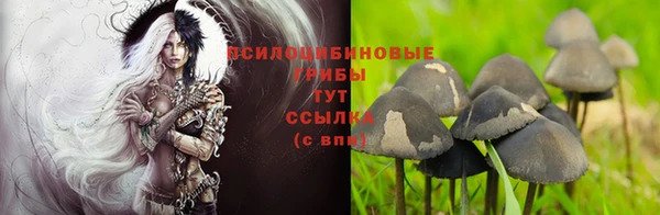 каннабис Аркадак