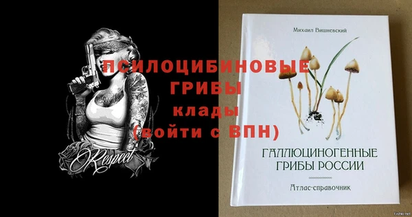 ECSTASY Арсеньев
