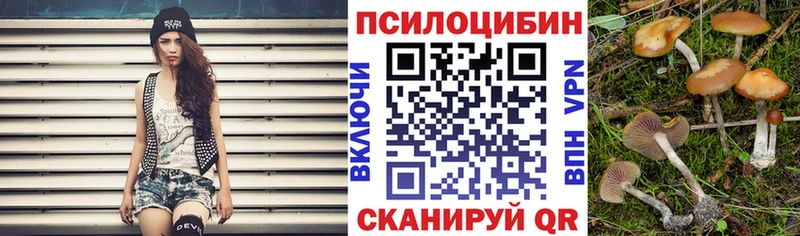 блэк спрут маркетплейс  Цивильск  Псилоцибиновые грибы прущие грибы  наркота 